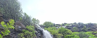 आकुर्ली 